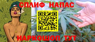 spice Можга